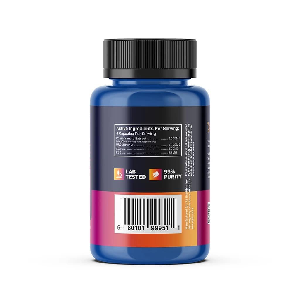 BioRecharge